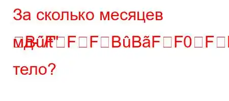 За сколько месяцев мд-/t